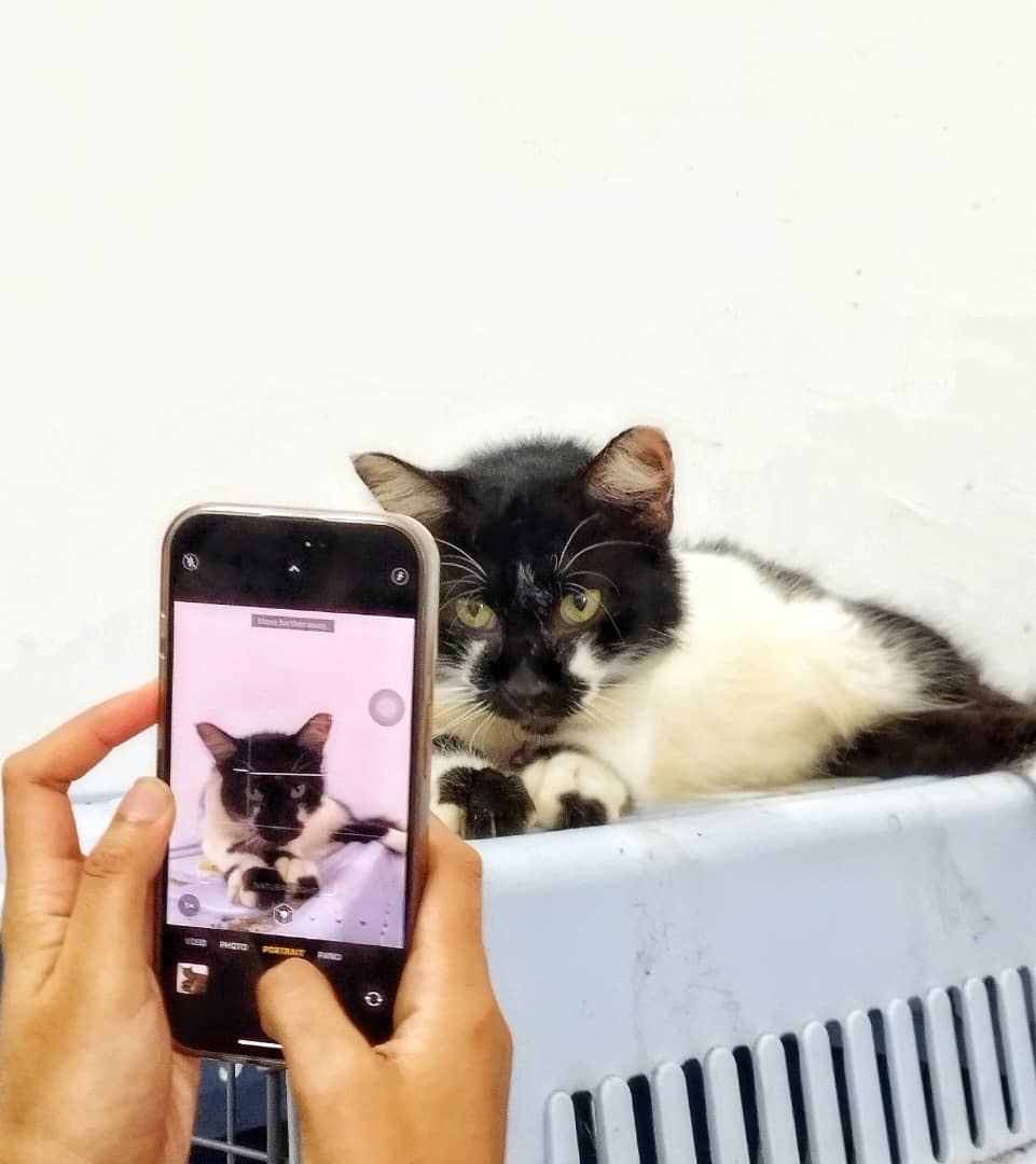 Oreo